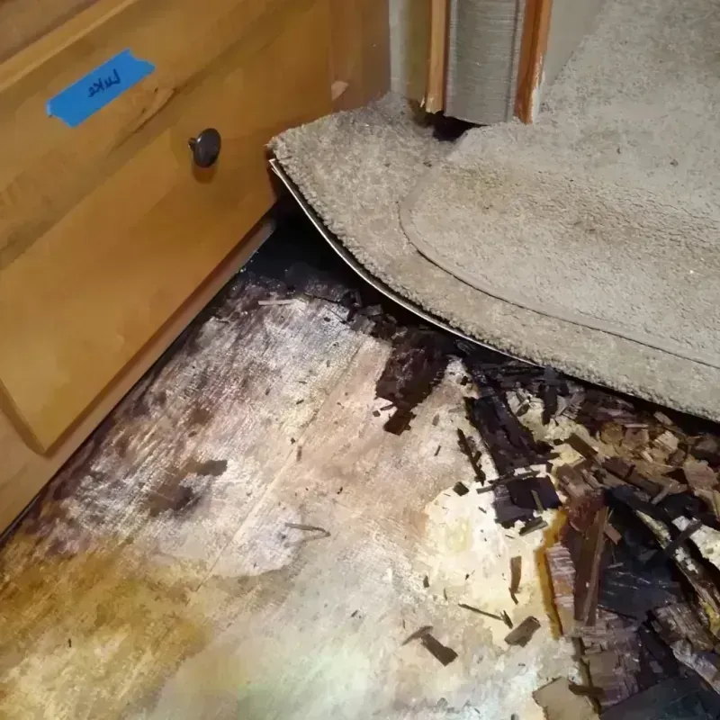 Wood Floor Water Damage in Kingsbury, NV